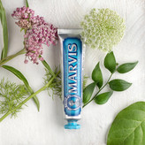 خمیر دندان آبی مارویس مدل Aquatic Mint