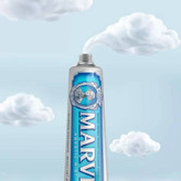 خمیر دندان آبی مارویس مدل Aquatic Mint